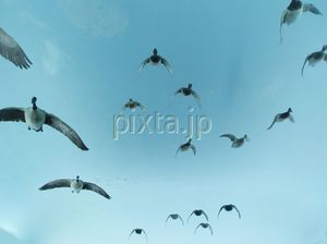 Be72d437aa4e5031c0cffe2bdd35f4f9