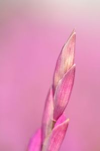 7c1912fd80bfe4682c45115be9cf232a