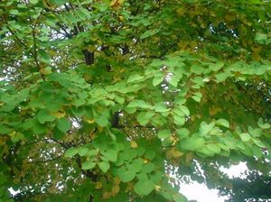 Fb525cd6cab56db881c41a6dad88f760