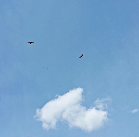 Aae3d8becf3697c57f8de3196fee0edb