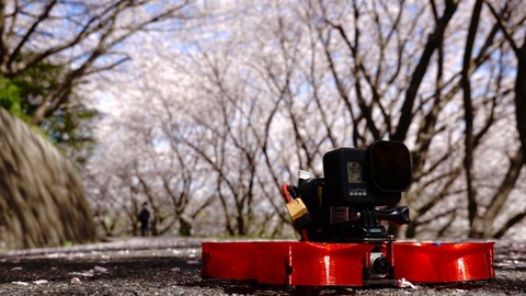 84e57446768a1cf424eb1d347a7f61fb