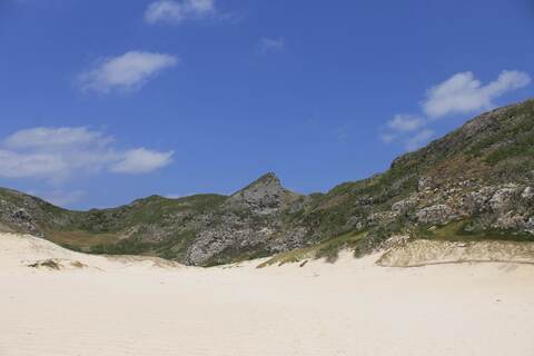 C82256763fcc74691c971cdf828a55fa