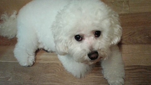 14945888196c8036241294b002ba101d