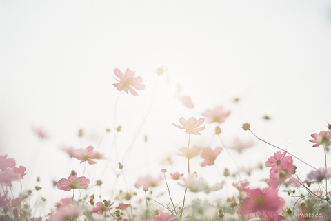 6a352870e152ce7304c5f21be7f822c5