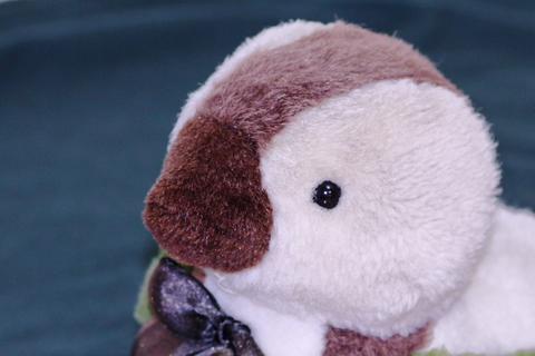 Bab6e30874f73078f4f2aa4078e8a70b