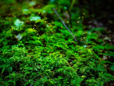 15edc07185ea230d8baf1a80b3d1b013