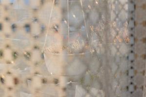 72551bde5ebf5b19bc7b9e996182d436