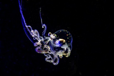 1d15e2f37a5f29b8fb46c13cdb14baa7