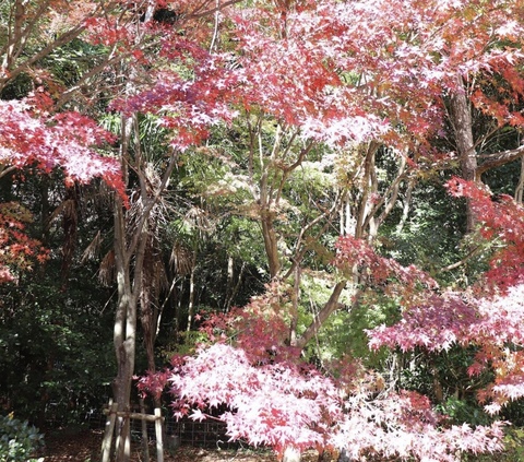 7d72a9f66ba74cbd2afd4e7936f23c10