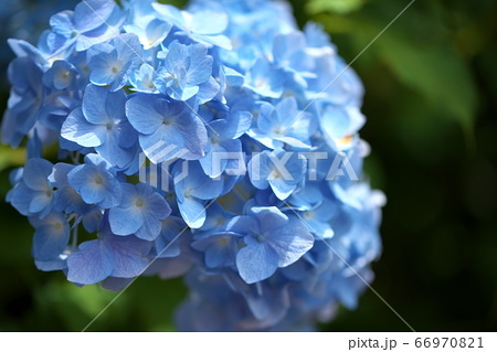 F1ea6f1efd71176b979f14f985479708