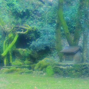 16c0451360eecf3f423104b772732ab1