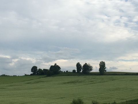 6bd035c32f9cfedecd4ddb4f1ee48832