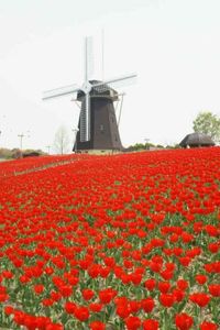 15c04af6736961680409904387e1a1e8