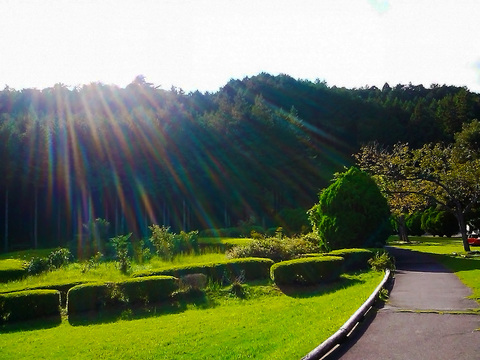 2964f407ad8751d7ebf83b4b48f6d1ee