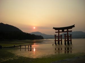 32f7a04072d48cca773352712587ca0e