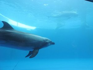 7d59f26a460cf448d20fa7dfca86bb1f