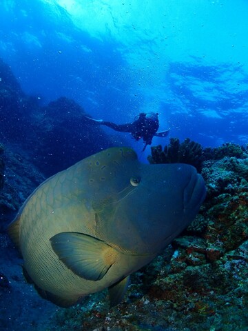 1570b3a51f646a671033e83afde4be95