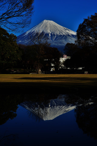 15bbb2bb9b9d68c9547655d973f26c92