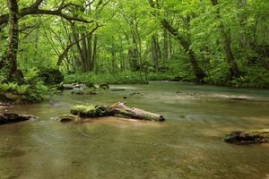 D4e1f09c4fbba6ea07cafb1d539f959b