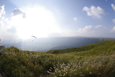 C8834176bdf248859ef2ccd19e22c2e3