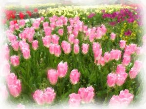 Adf66adfa452e8658e5d244d7ab496f9