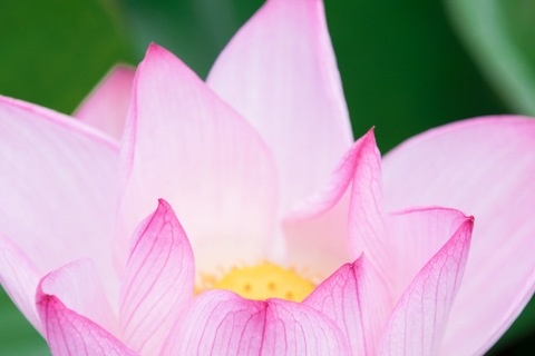 6332fd5bc129c3a444a23d3340124640