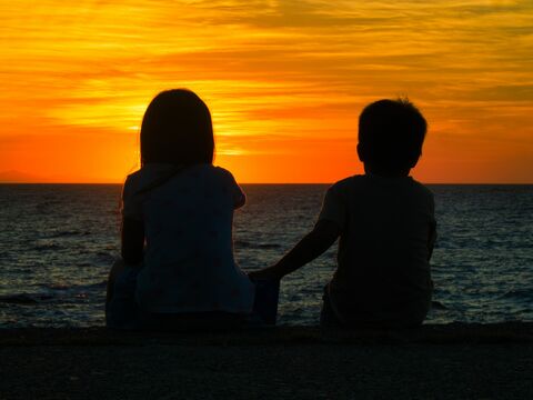 695d6d3cf493c6cebe3f71b484a31941