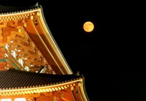 F292f90357aed91c3cd04ad31bbafb4d