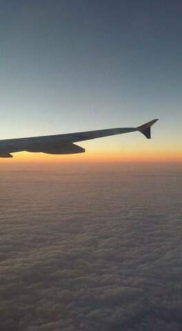 4742cc8725944e5bfa0cc9cdc086840b