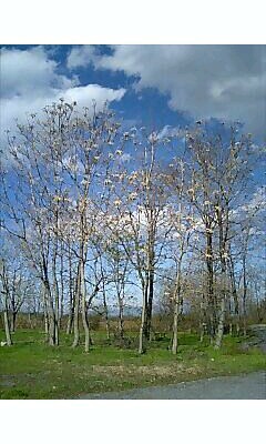 8c7c84b06309754b3b9726b043806b4c