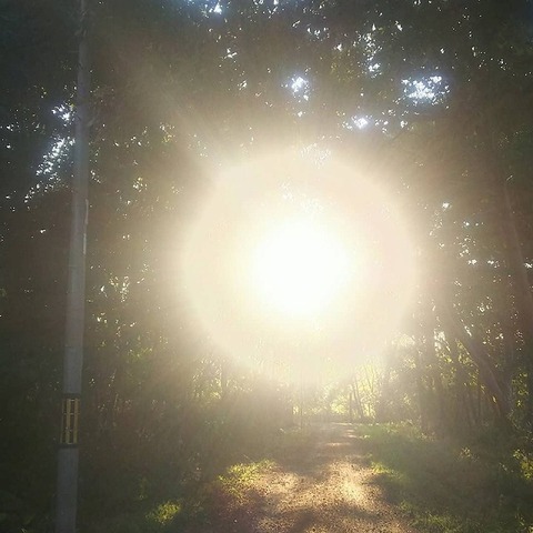 F459ef462f7ecc46a95e9afe2c2cb7f4