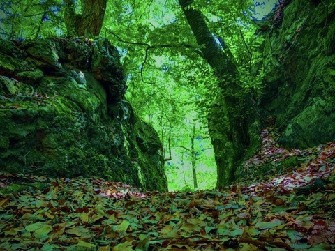 B5e6172dff8eefc17064ea645c65ae51