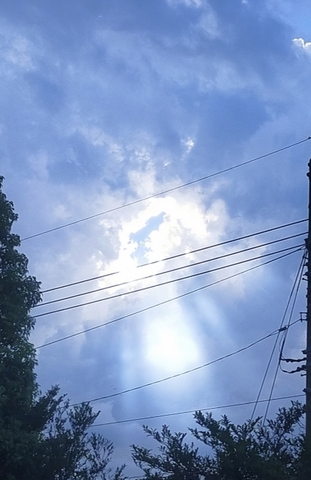 7251739fb55dc174bb9f1152e95b8090