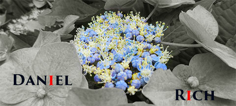 6a90ffef49b6e6329829347bf981816a