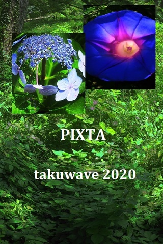 Bd2093bfd47a99093e983862d03febd0