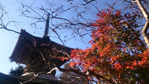 9170eaf587d0b852f3814d0dc4a8e3e7