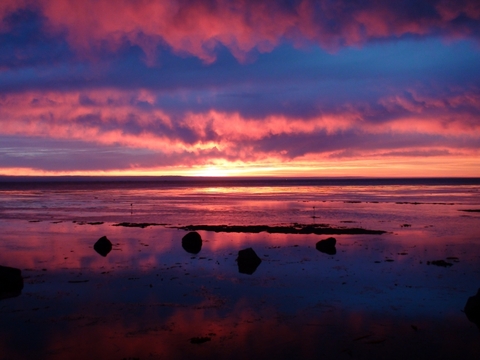 770f1c5d647731c2be2fa16bb3a243c2