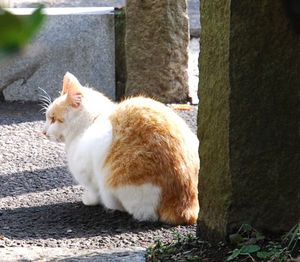 Bc88da5ae0d645ce9cb0a060a87bd0e8