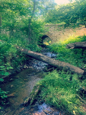 3b1caf4ff5f2fd46e6cd5ea73bbcf906