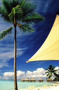 B3b0f5065506bdcedfaf393bff4083d8