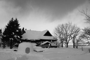 9a9f04caa21f32b68ff76ff8710cb703