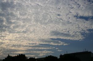 9f344adee6f9c2743788b1d59701391f