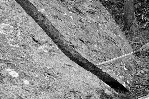 F0446be6facb4386d03b9e48954b9250