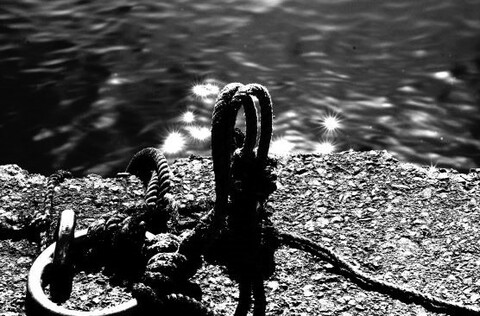 9f6059f31b9e4bef9da6deff6ddc512f