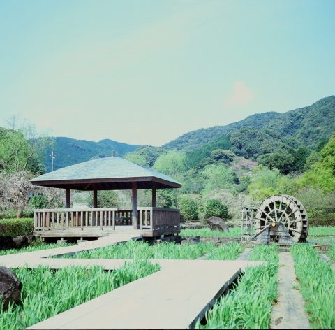 E204e228d5945dacc3483c96b61f0bcd