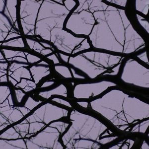 507272075e18fd5cccbc5c06af81e36c