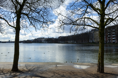 263021547dc56239159c0246bcc78041