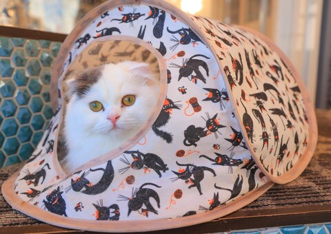 6a152473b7d63103c6df0dee6a332e41