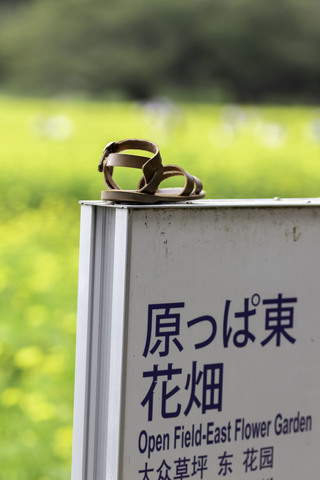 Bc2d98414e50d7cdba3aa92dca5f1c80