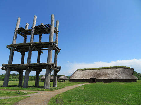 D5c74d6f550fcc537b34eb495b4cc059